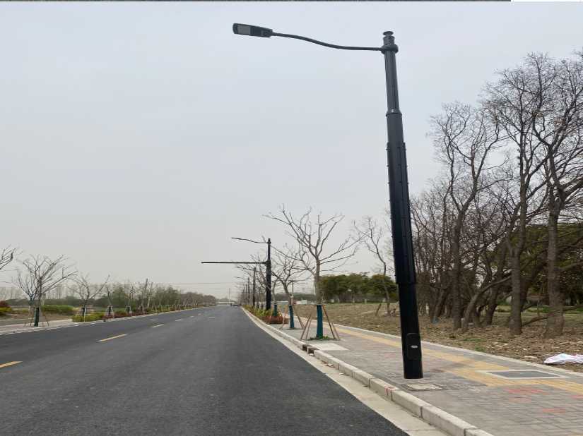 平乐县上海综合杆 太阳能路灯工程